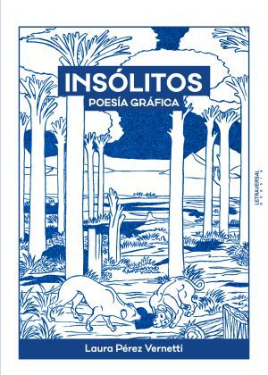 Insólitos (poesía gráfica) - Laura Pérez Vernetti